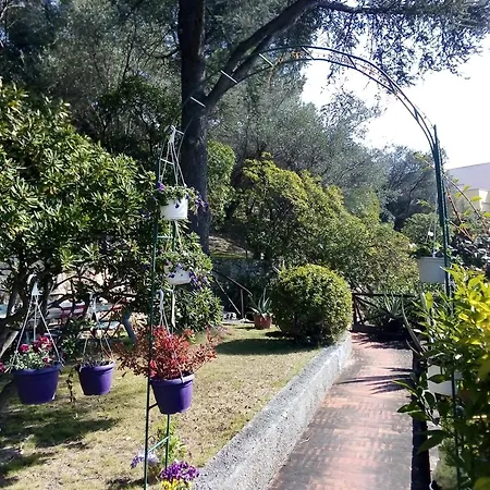 La Tra Gli Ulivi Dream Finale Penzion Finale Ligure