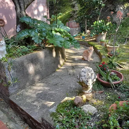 La Tra Gli Ulivi Dream Finale Guest house