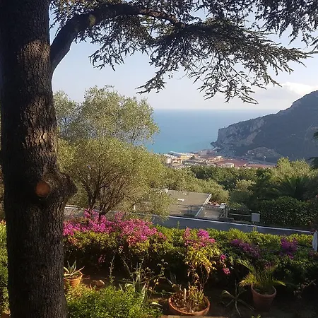 La Tra Gli Ulivi Dream Finale
